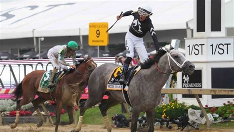 Belmont Stakes betting guide: Expert picks, analysis, past .